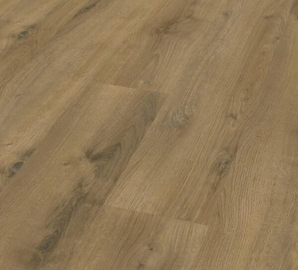Elbe Oak - D3901