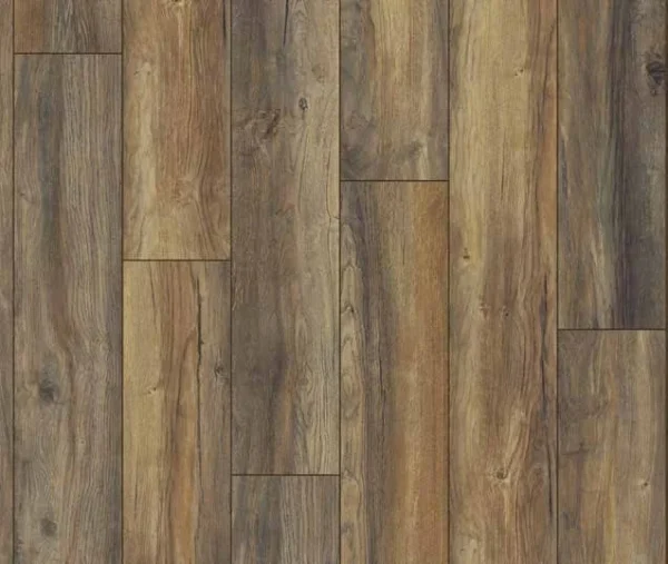 Harbour-Oak