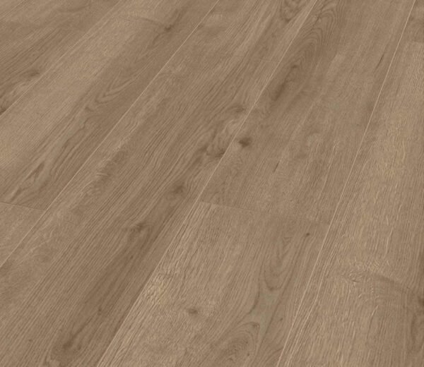 Oak Titanium - D6004