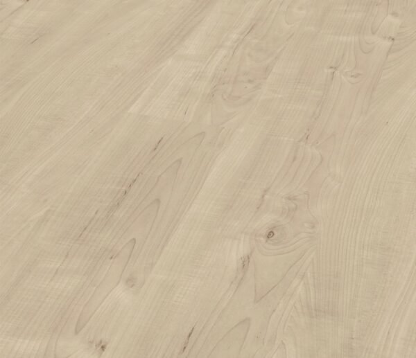 Maple - D4636