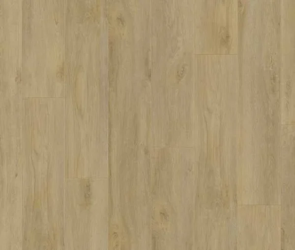 Premium-Oak-Nature